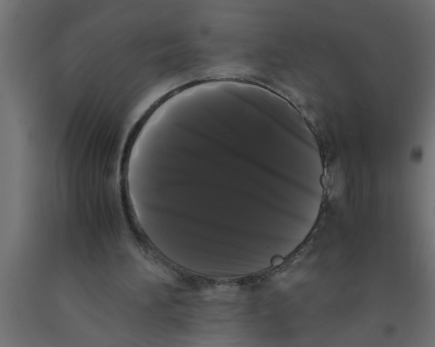 X0000090860196200708241906