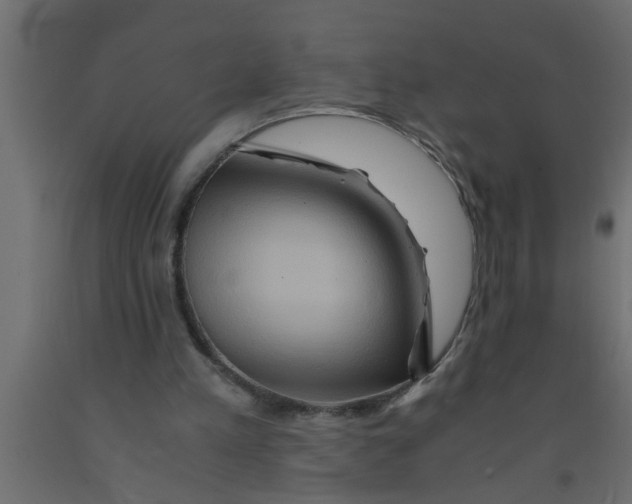 X0000090860197200708241906