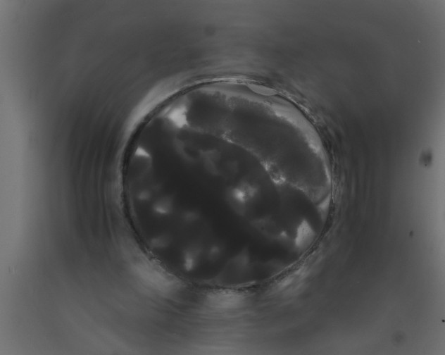 X0000090860198200708241906