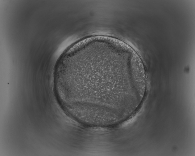 X0000090860199200708241906