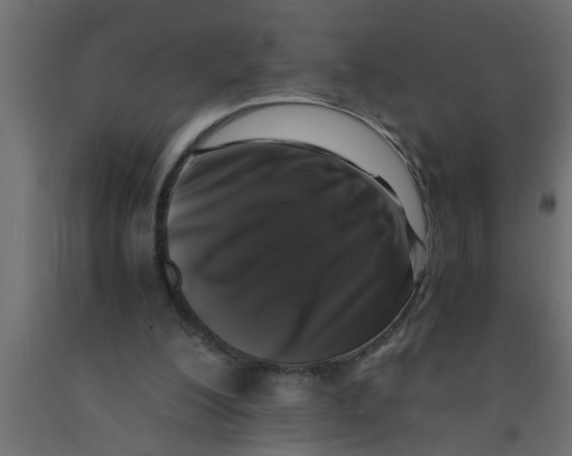 X0000090860200200708241906