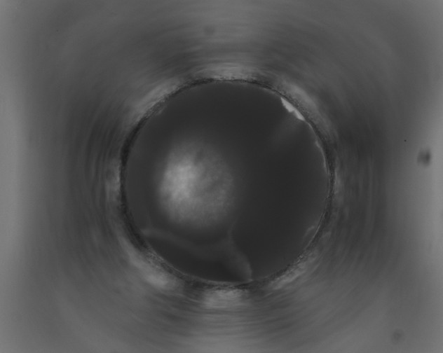 X0000090860202200708241906