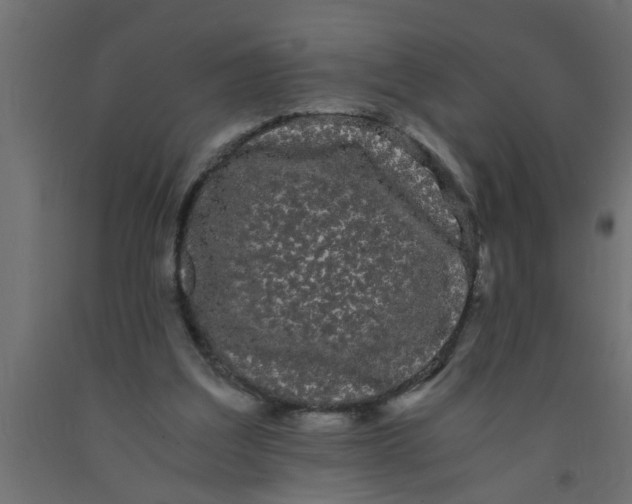 X0000090860203200708241906