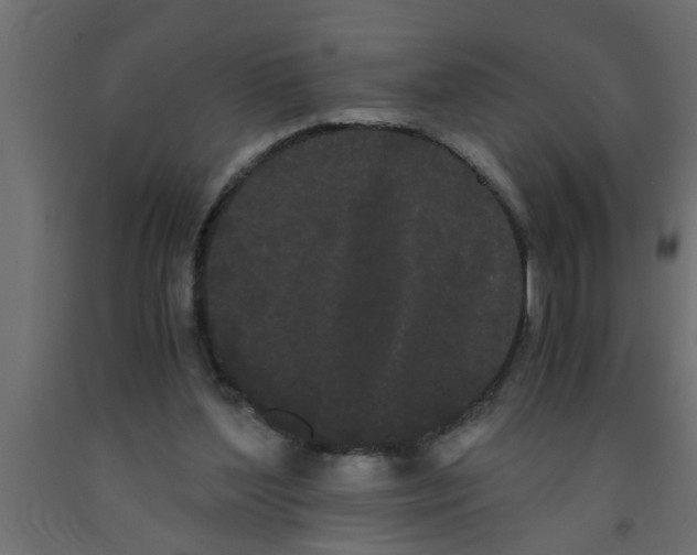 X0000090860204200708241906