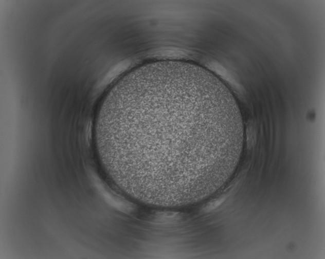 X0000090860206200708241906