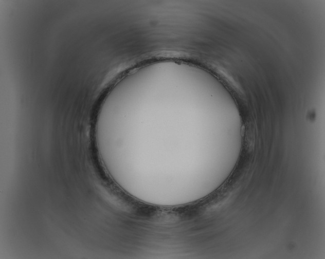 X0000090860207200708241906