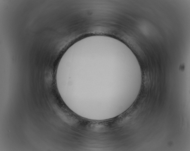 X0000090860208200708241906