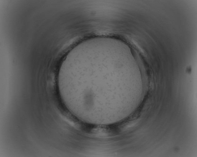 X0000090860211200708241906