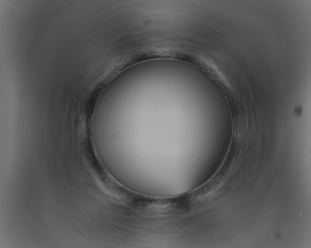 X0000090860213200708241906