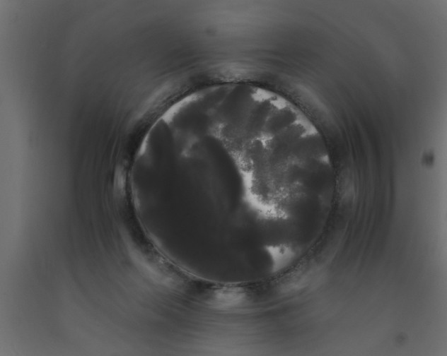 X0000090860214200708241906