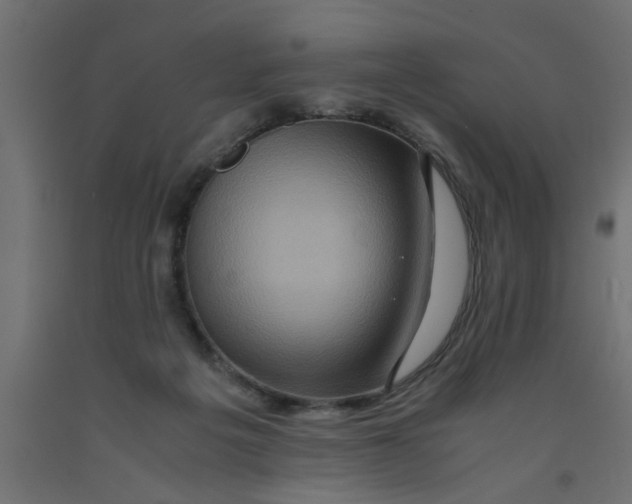 X0000090860217200708241906