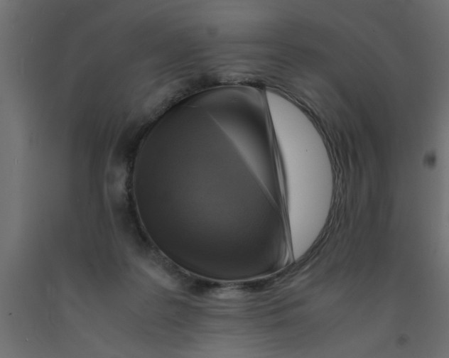 X0000090860219200708241906