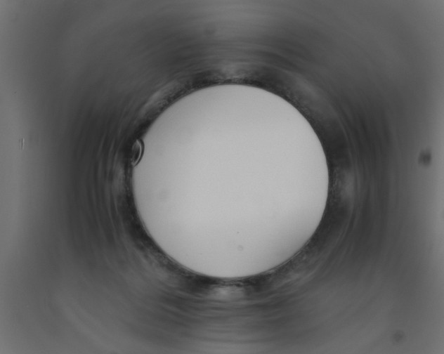 X0000090860220200708241906