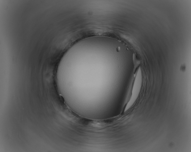 X0000090860221200708241906