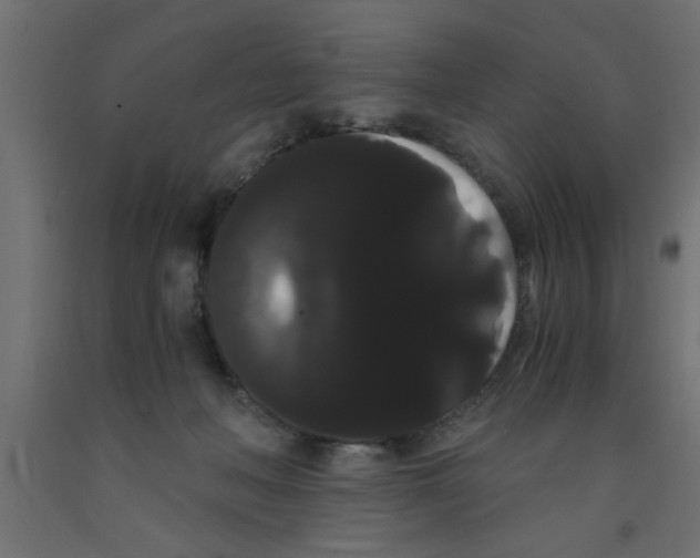 X0000090860222200708241906