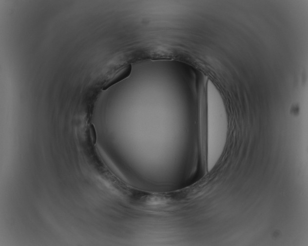 X0000090860223200708241906