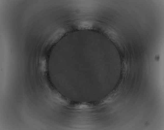 X0000090860224200708241906