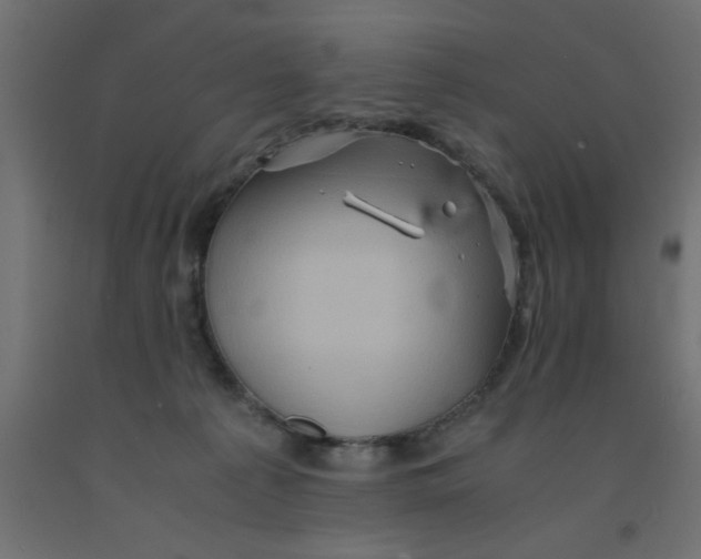 X0000090860225200708241906