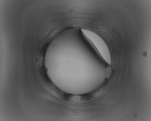 X0000090860227200708241906