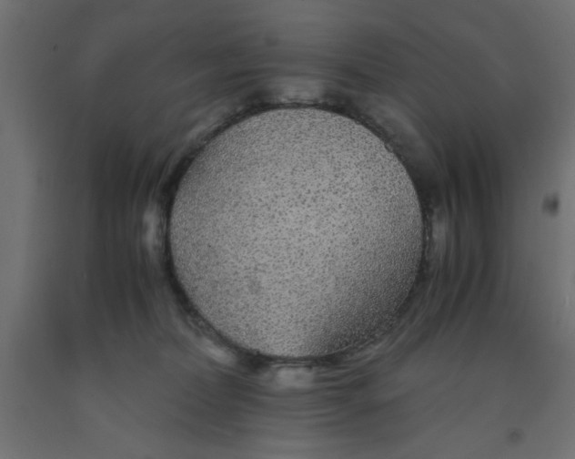 X0000090860228200708241906