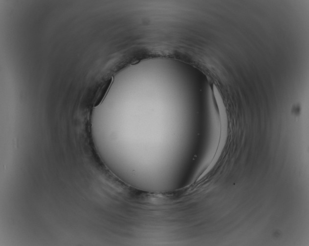 X0000090860229200708241906