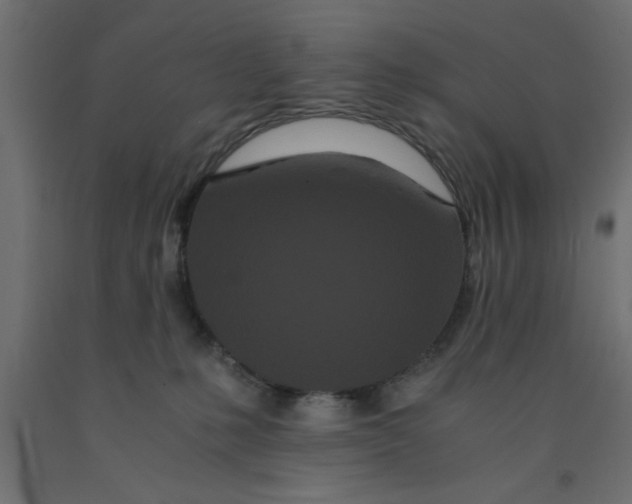 X0000090860231200708241906