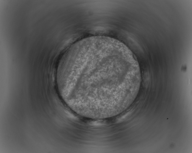 X0000090860232200708241906