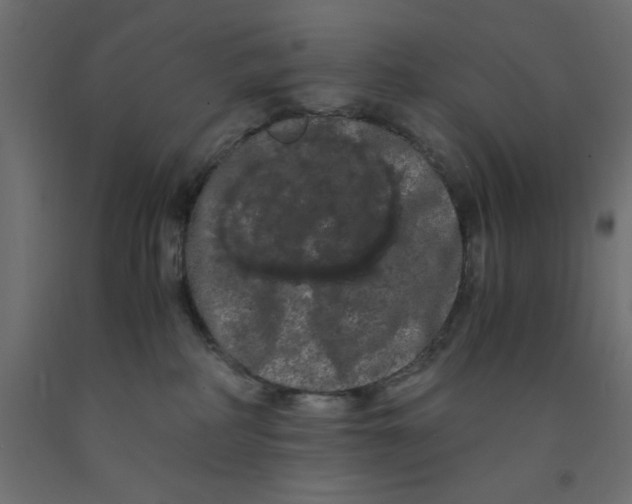 X0000090860234200708241905