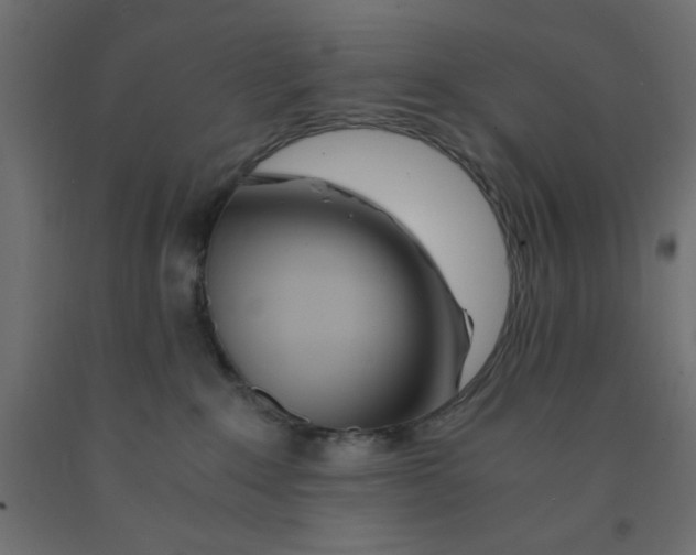 X0000090860235200708241905