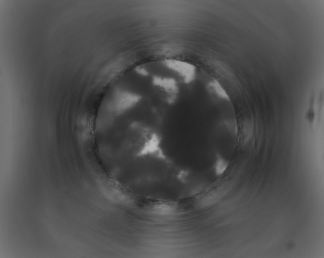 X0000090860236200708241905