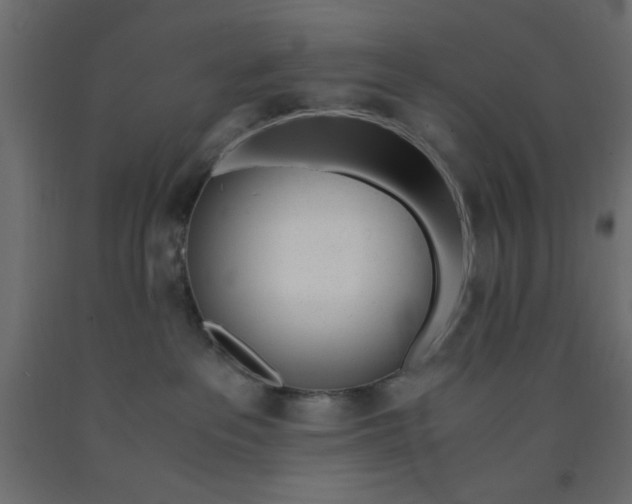 X0000090860237200708241905