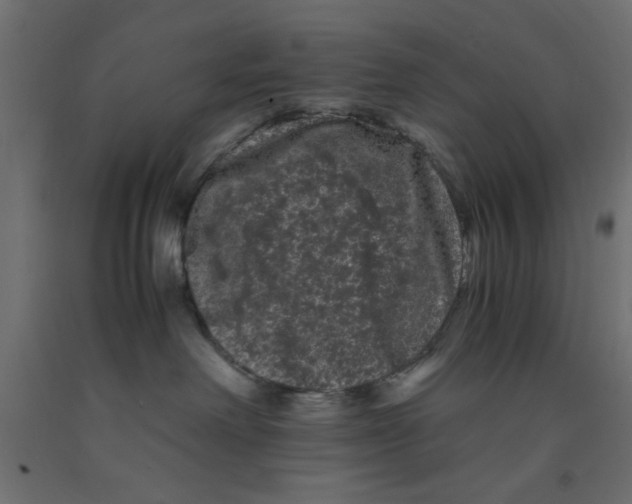 X0000090860238200708241905