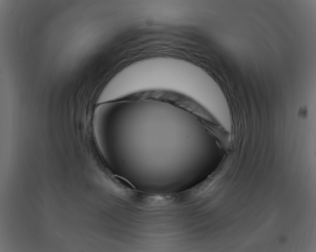 X0000090860239200708241905