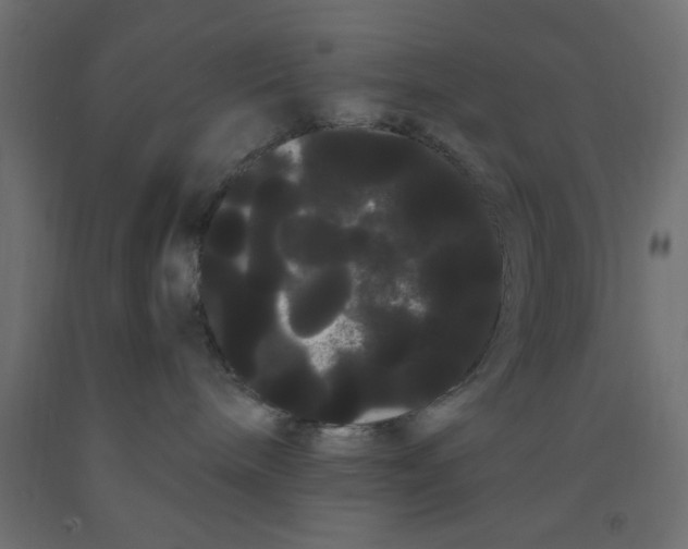 X0000090860240200708241905