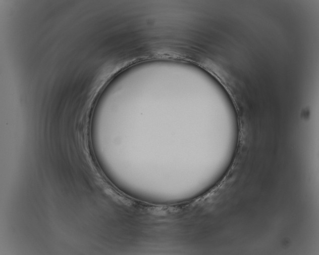 X0000090860241200708241905