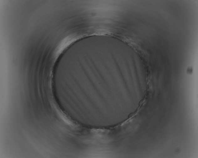 X0000090860242200708241905