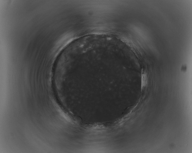 X0000090860243200708241905