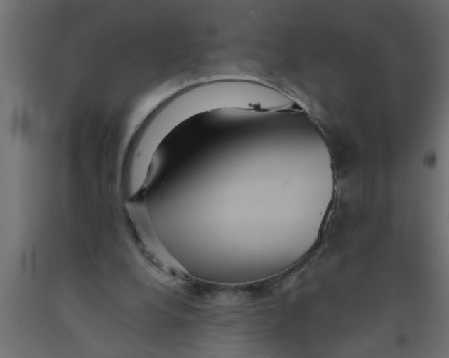 X0000090860248200708241905