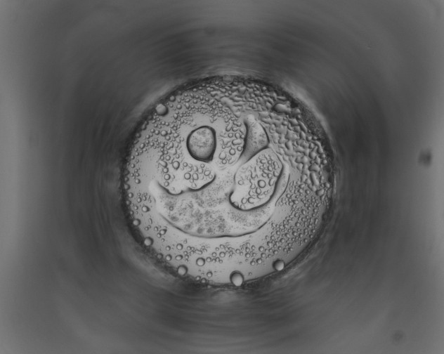 X0000090860249200708241905