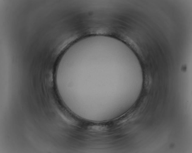 X0000090860251200708241905