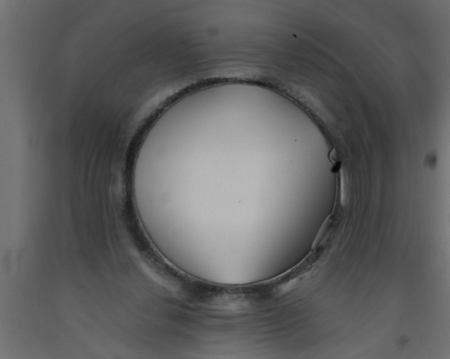 X0000090860252200708241905