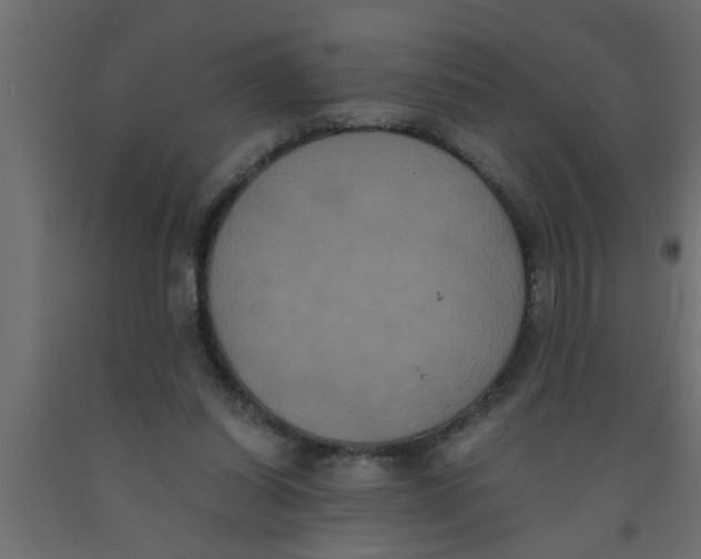 X0000090860254200708241905