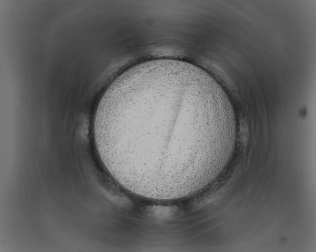 X0000090860255200708241905