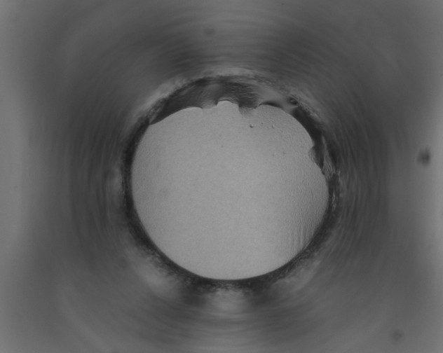 X0000090860256200708241905