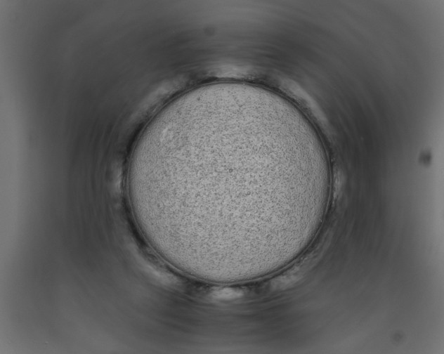 X0000090860257200708241905