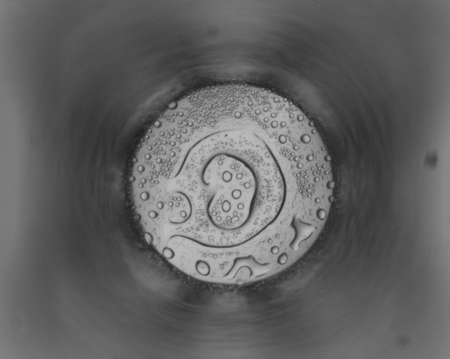 X0000090860258200708241905