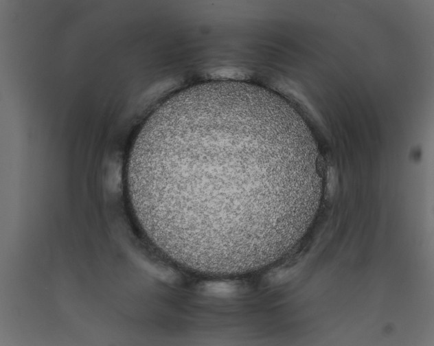 X0000090860259200708241905