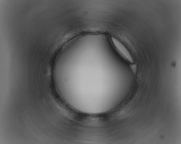 X0000090860260200708241905