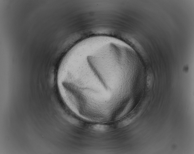 X0000090860261200708241905