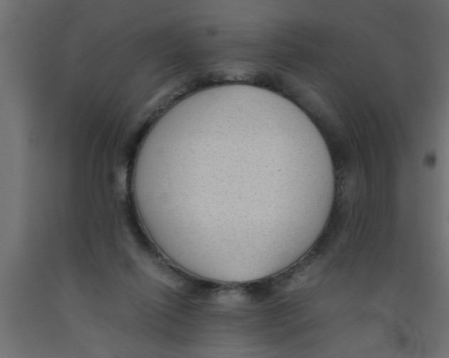 X0000090860262200708241905